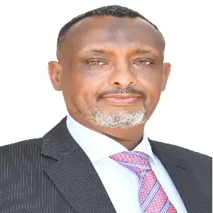 Dr Ahmed I. Mohamed